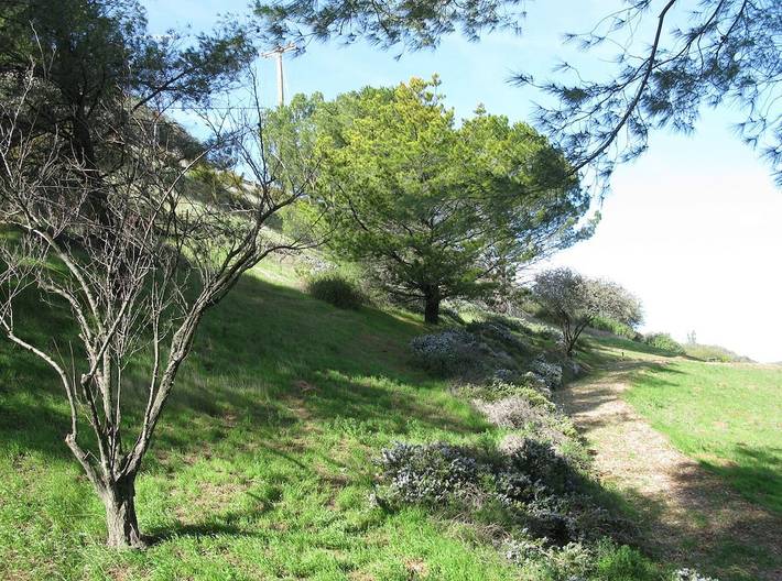 Gîte pour 4 personnes, avec jacuzzi et jardin dans Topanga