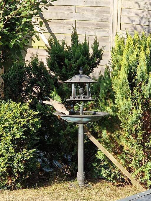 Location de vacances pour 8 personnes, avec jardin, animaux acceptés à Camiers - 2