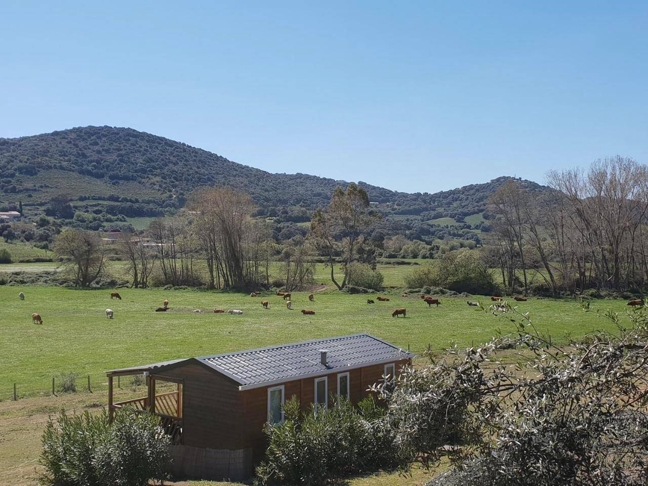 Ferme de Chiuni in Cargèse, Parc naturel régional de Corse