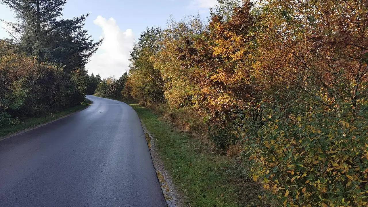 Ferienhaus für 6 Personen (62 m²) in Henne in Henne, Varde en omgeving