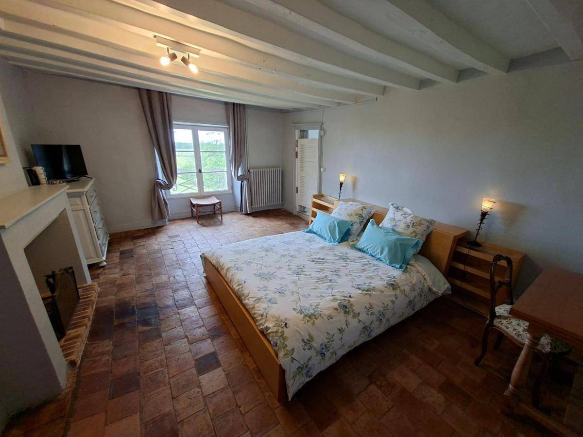 Château de la Genaiserie - Chambres d'hôtes in Saint-Aubin-de-Luigné, Vallée de la Loire