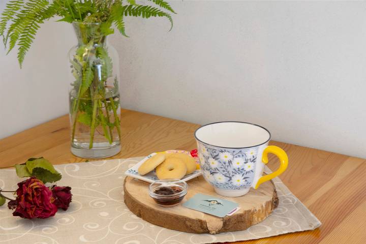 Room 'Edelweiss Alp' with Mountain View and Wi-Fi in Castello Tesino, Valsugana