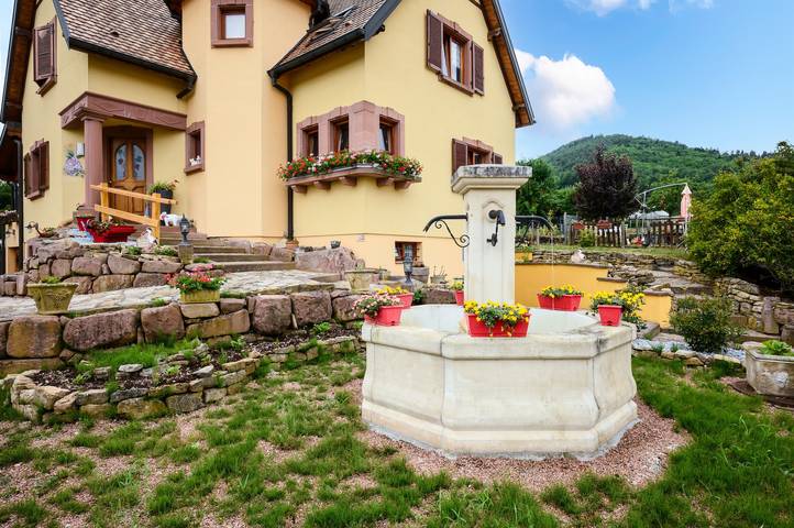 Gastenkamer 'La Châtelaine - Pinot Blanc' met bergzicht, gedeeld terras en wifi in Walbach, Parc naturel régional des Ballons des Vosges