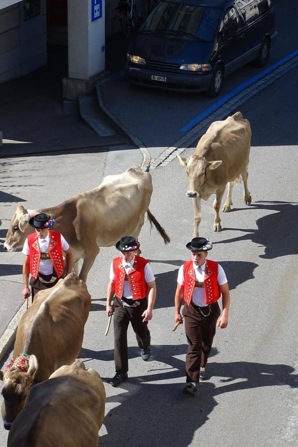 Ganze Wohnung, Alpen-Paradies Edelweiss Urnäsch in Urnäsch, Zürich Voralpen