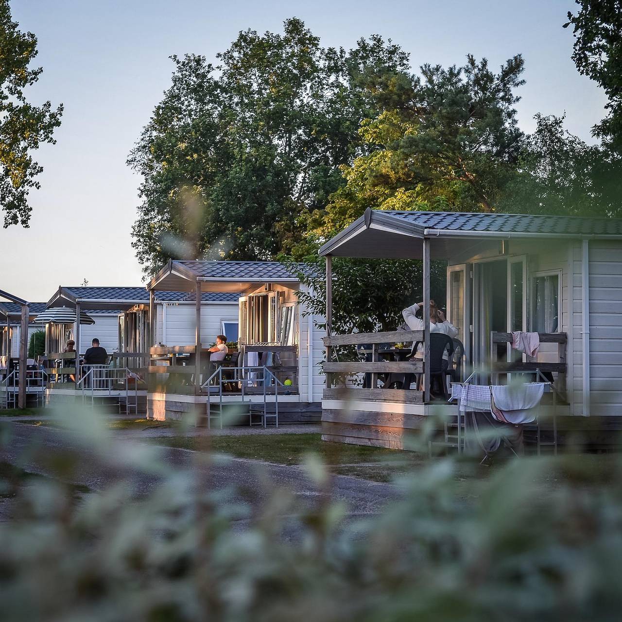 Vakantiepark voor 6 Personen in Sallandse Heuvelrug, Twente