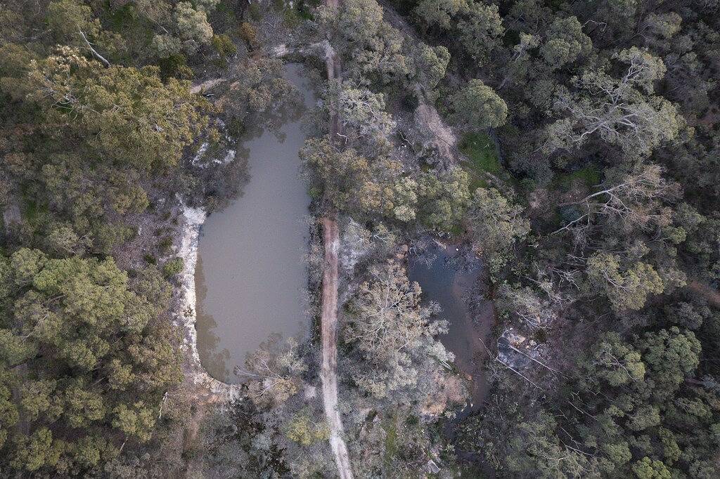 Bush Escape: Panoramic Views + Large Dog Enclosure in Perth, Western Australia