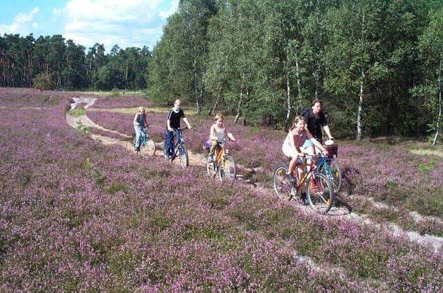 Camping für 6 Personen, mit Garten in der Lüneburger Heide - 2