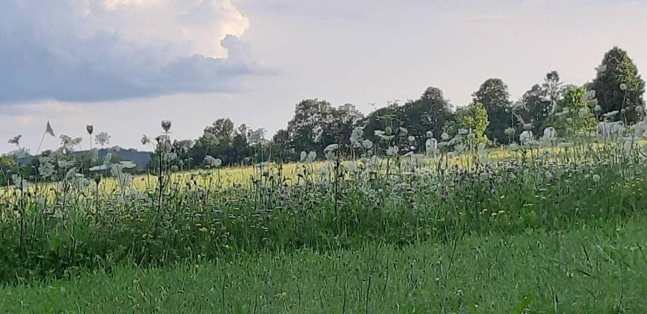Haus Steirer am Kaiserwald in Unterpremstätten, Steirerland