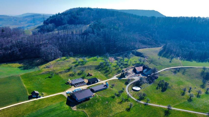 Ferienhaus für 5 Personen, mit Balkon und Garten - 1