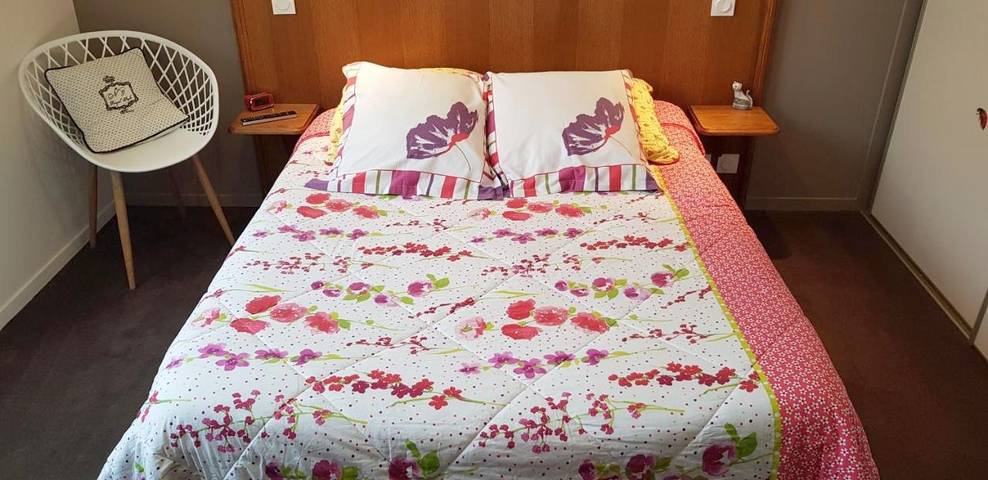 Hôtel pour 3 personnes, avec vue et terrasse, animaux acceptés à Martizay - 4