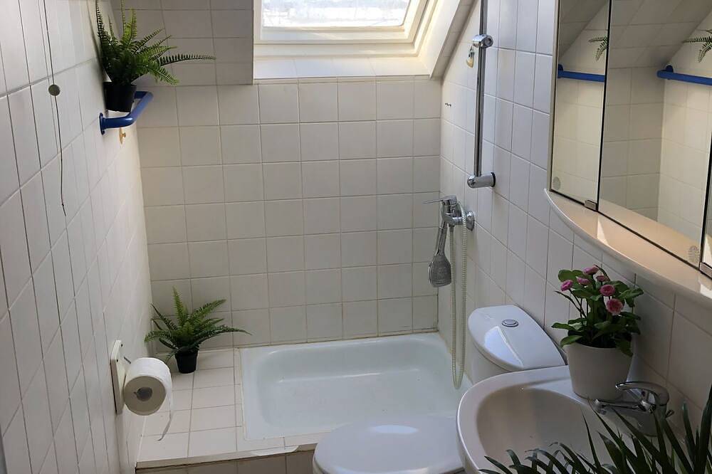 Ganze Wohnung, Wolke, 2 Zi. in Fürth, Franken
