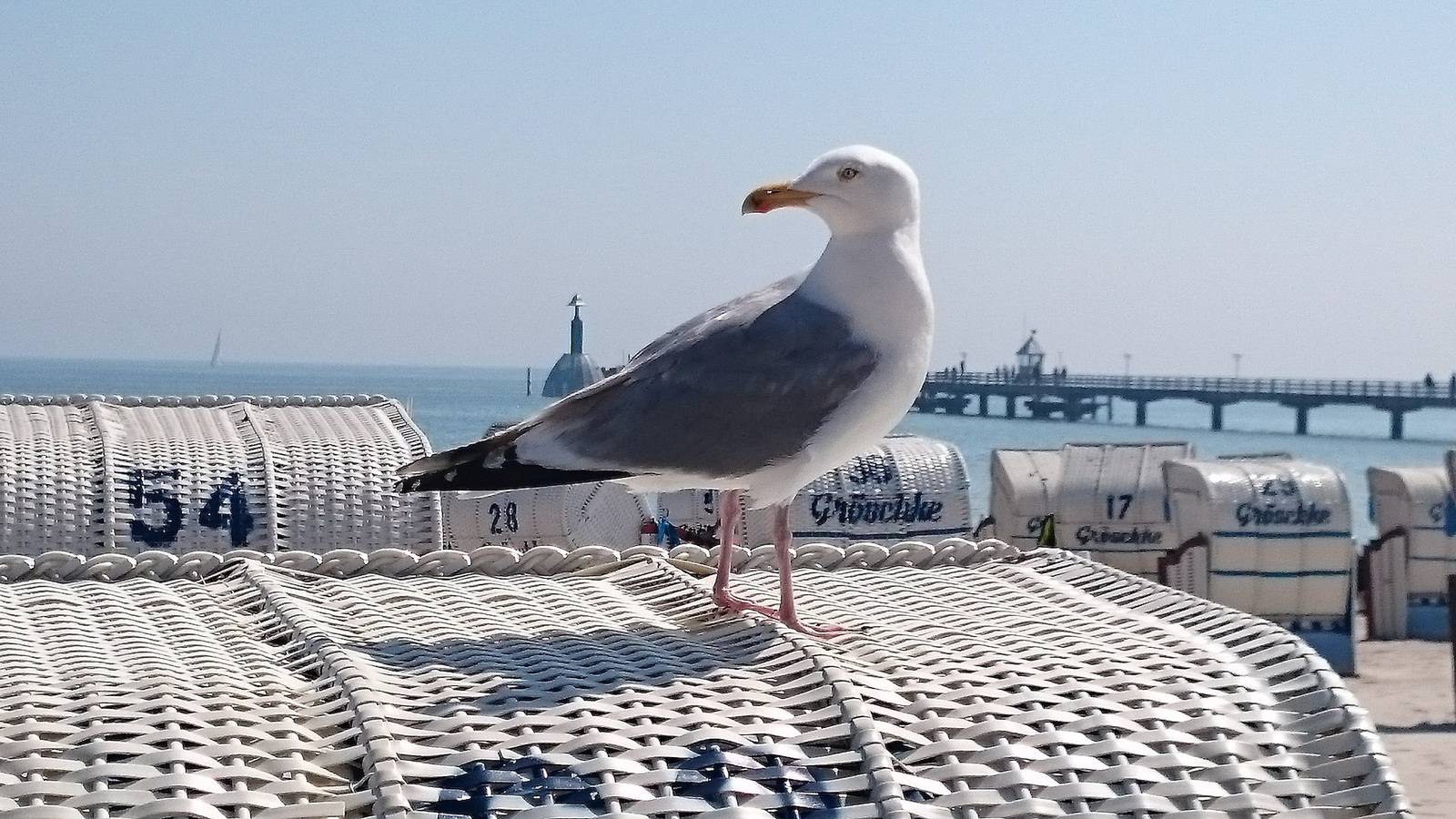 Ganze Ferienwohnung, Ferienhof Kruse Wohnung Nr. 2 in Lenste, Grömitz