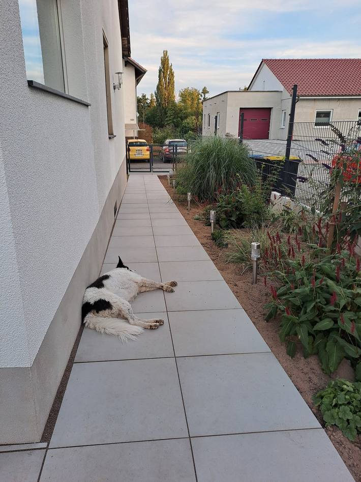 Entire apartment, Holiday Apartment 'Haus Sonnenschein' with Shared Garden and Wi-Fi in Volkmarsen, Landkreis Waldeck-Frankenberg