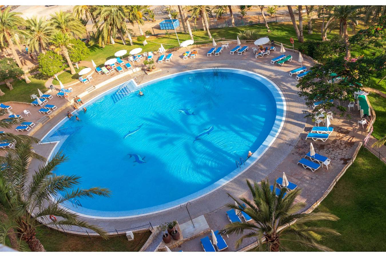 Appartement entier, Marazul del Sur 3p6p vue piscine in Marazul, Adeje