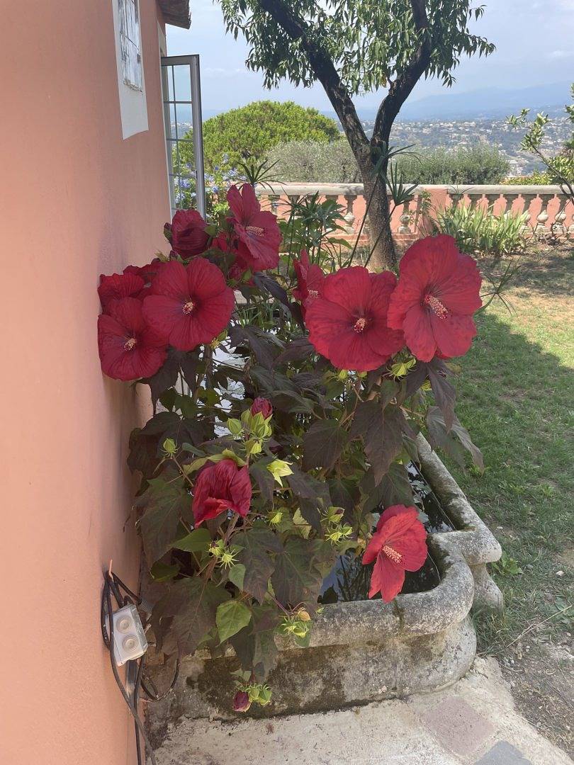 Gîte Le Petit Mas Niçois in Nice, Région de Nice