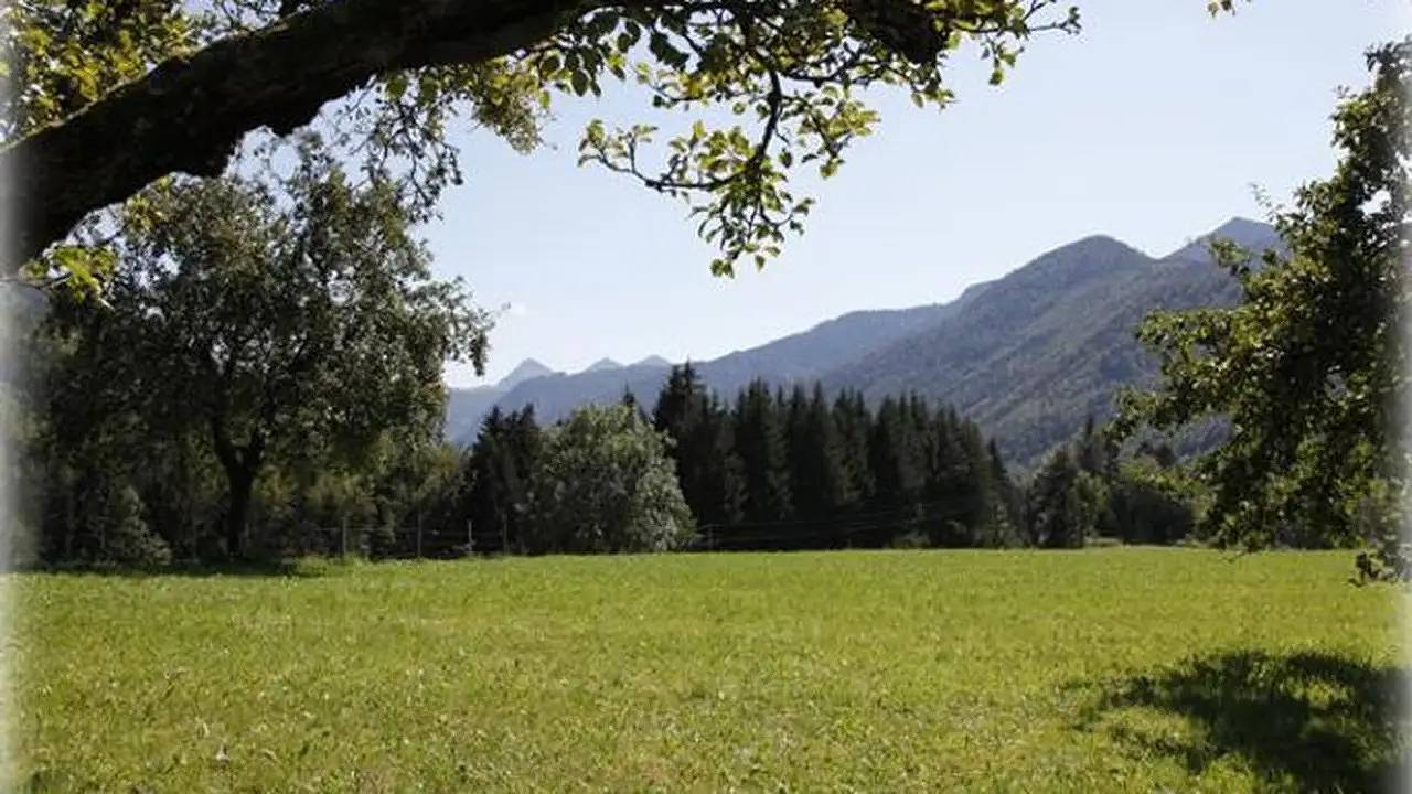 Ganze Ferienwohnung, Ferienwohnung für 4 Personen (30 m²) in Faistenau in Salzkammergut-Berge, Faistenau