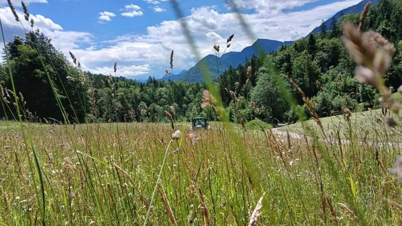 Ganze Ferienwohnung, Ferienwohnung für 6 Personen (90 m²) in Faistenau in Salzkammergut-Berge, Faistenau