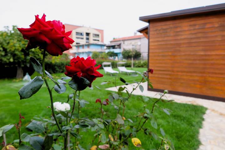 La Depandance con Giardino a Pescara - 9 min dal mare, Wi-Fi, Ac, Ricarica Ev in Spoltore, Provincia di Pescara