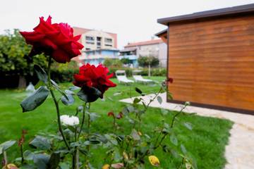 Casa Vacanza per 3 Persone in Spoltore, Costa Adriatica Abruzzo, Foto 4