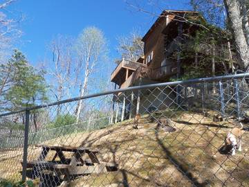 Log Cabin for 8 Guests in Rutherford County, Picture 4