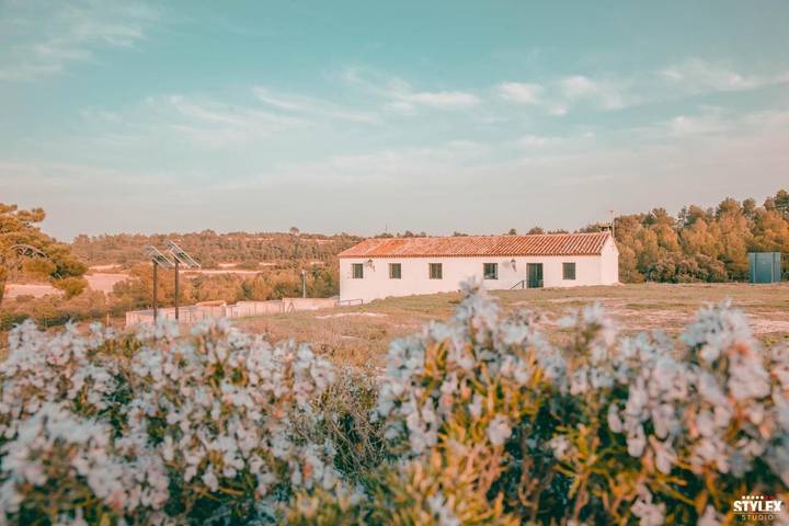 Casa rural para 34 personas, con jardín y vistas en Corredor De Almansa - 3