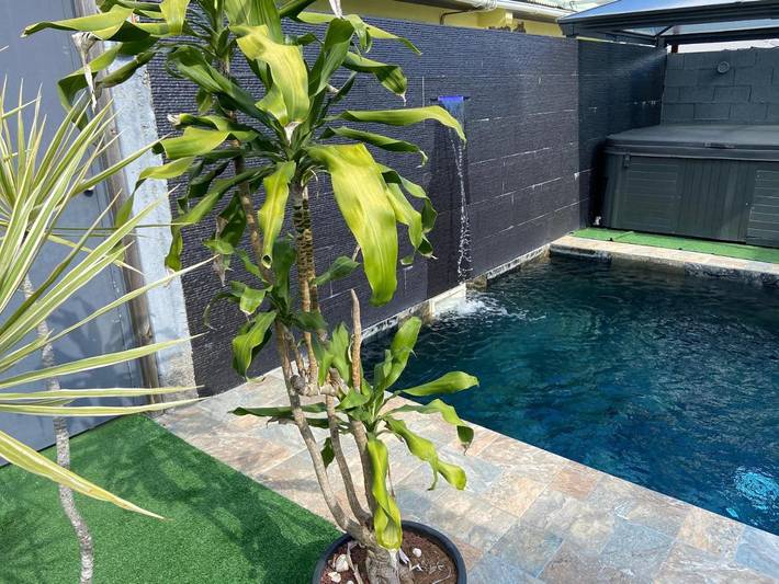 Gîte pour 4 personnes, avec vue ainsi que piscine et terrasse dans Palmiste Rouge - 3