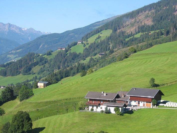 Ganze Ferienwohnung, Appartement 1 in Hollersbach im Pinzgau, Pinzgau