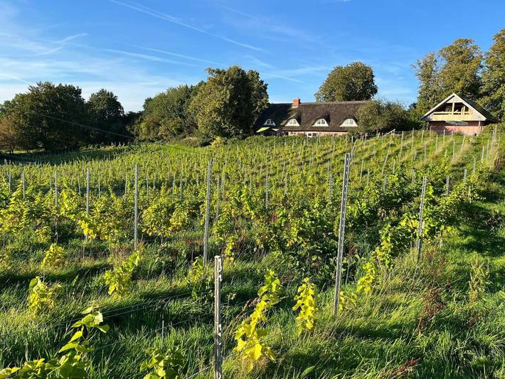 Ferienwohnung für 2 Personen, mit Garten und Pool sowie Seeblick in Groß Wittensee - 2