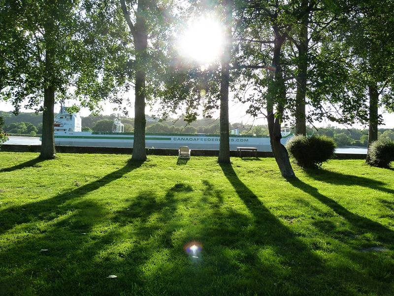 Gîtes de France® - Le Ronceray in Saint-Martin-de-Boscherville, Rouen region