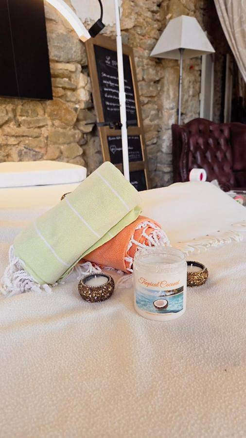 Location de vacances pour 6 personnes, avec piscine ainsi que vue et jardin, animaux acceptés à Sainte-Valière - 4