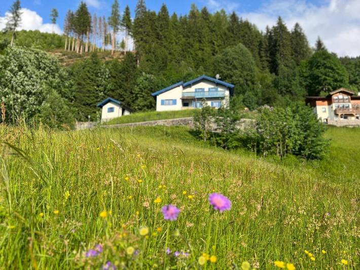 Chalet für 8 Personen, mit Balkon und Terrasse sowie Garten und Sauna in Bad Gastein