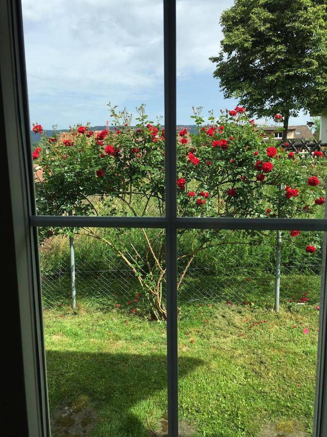 Large Home in Country near Zurich in Othmarsingen, Aargau-Basel