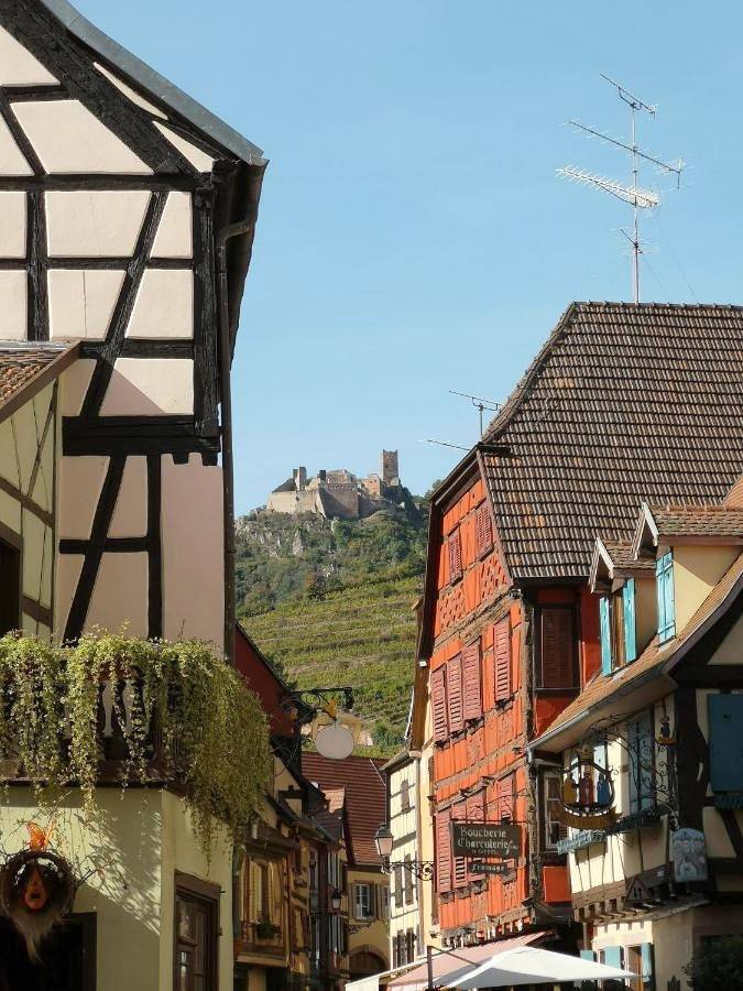 Gîte pour 4 personnes dans Office De Tourisme De Ribeauville - 3