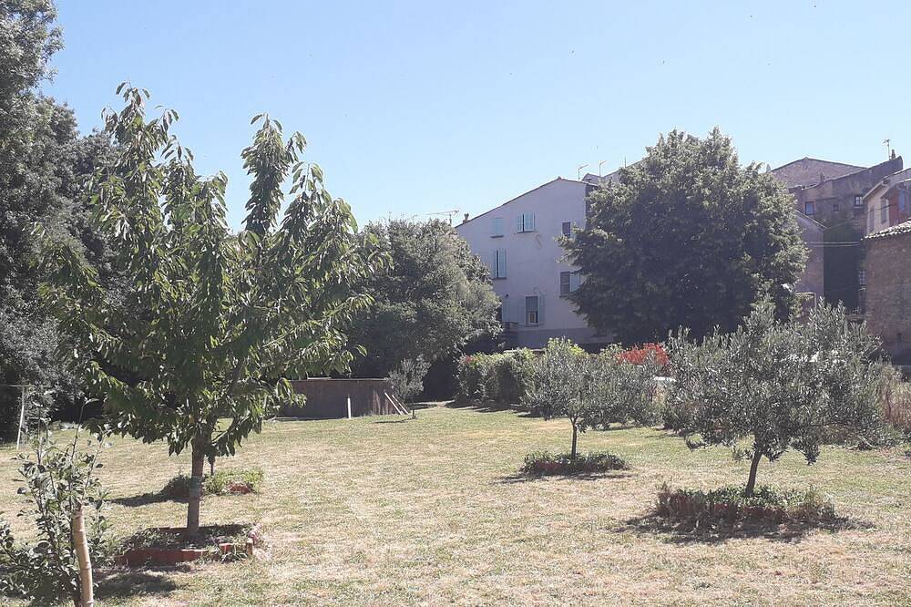 Country house with large garden and swimming pool in Carcès, Brignoles region