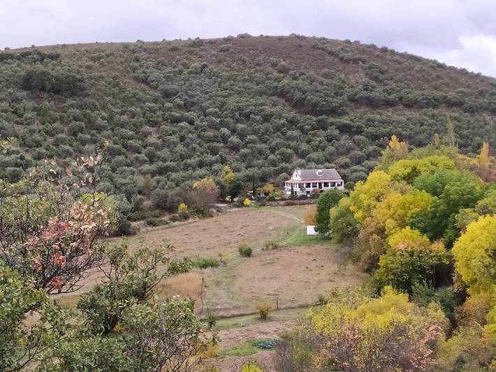 Casa rural para 19 personas, con vistas además de jardín y piscina en Montes de Toledo - 3