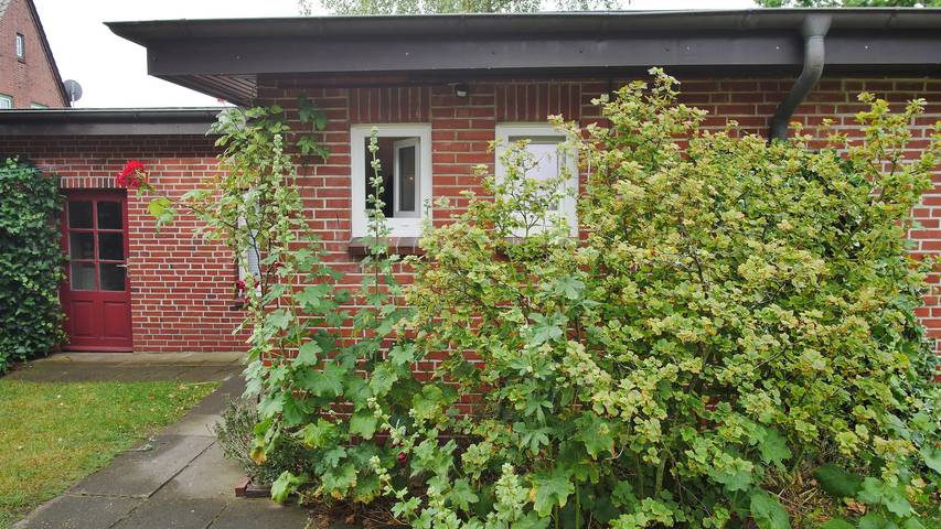 Bungalow für 4 Personen, mit Terrasse und Garten auf Föhr - 2