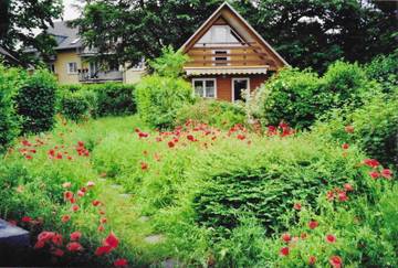Ferienhaus für 5 Personen in Zinnowitz, Ostseeinseln, Bild 3