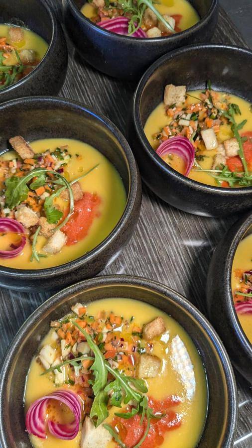 Hôtel pour 4 personnes, avec piscine et jardin, animaux acceptés à Montferrier-sur-Lez - 4