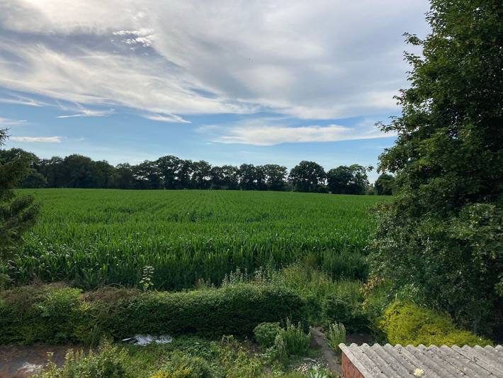 Ferienwohnung für 4 Personen, mit Balkon in Weener - 3