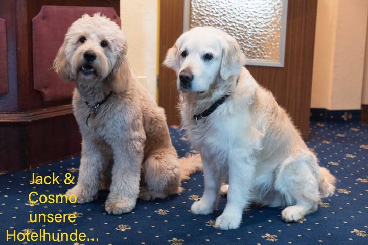 Hotel für 2 Personen, mit Garten und Terrasse in Bad Steben - 2