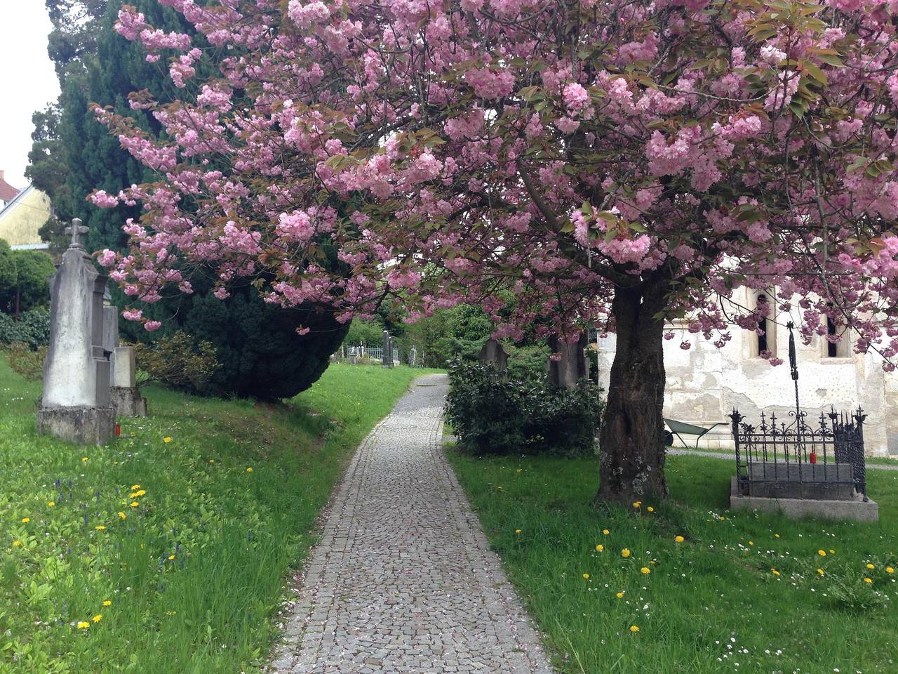 Einzelzimmer mit Balkon und Seeblick, foto 11