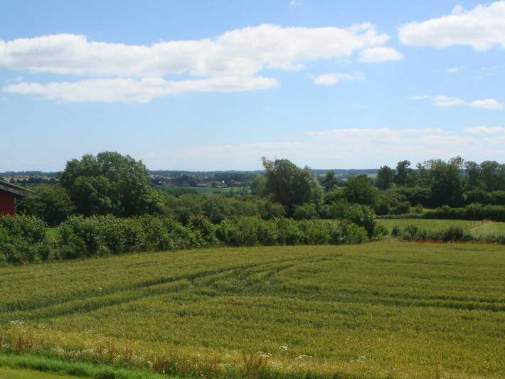 Ferienwohnung für 4 Personen, mit Terrasse und Ausblick sowie Garten, kinderfreundlich in Rabenkirchen-Faulück - 4