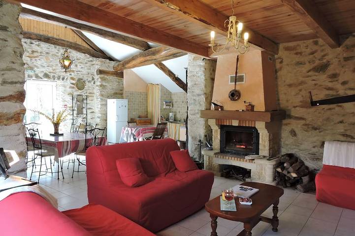Gîte pour 15 personnes, avec terrasse et jardin, animaux acceptés dans le Tarn - 4