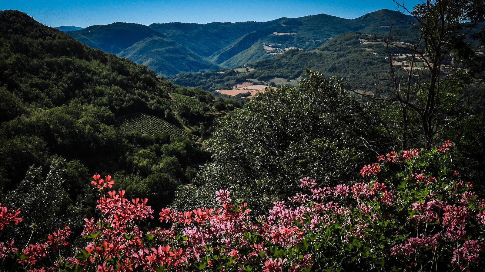 Agriturismo Arcera Apartments - Appartamento Templari in Roccafluvione, Nationalpark Monti Sibillini