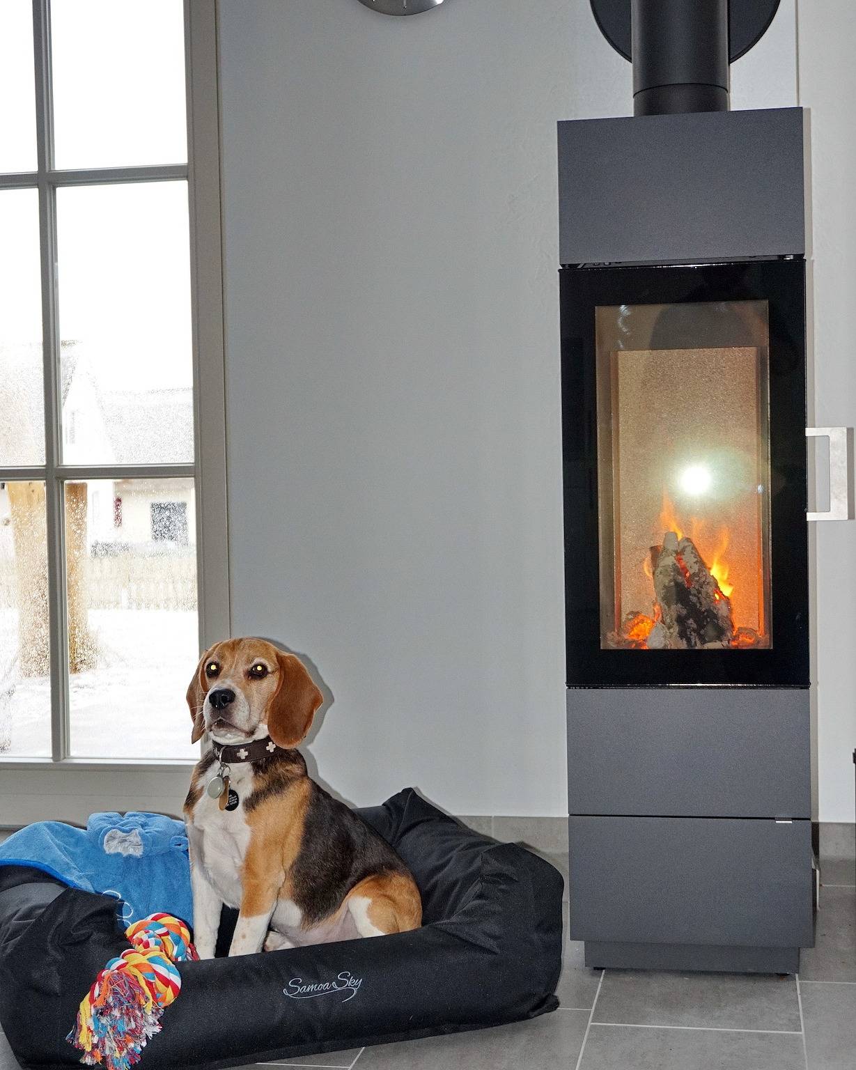 Reethaus "Nicole****" in Zierow, Nordwestmecklenburg (Wismar und Umgebung)