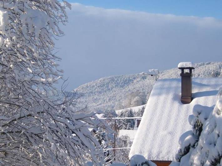 Location de vacances pour 6 personnes, avec jardin à Cleurie - 4
