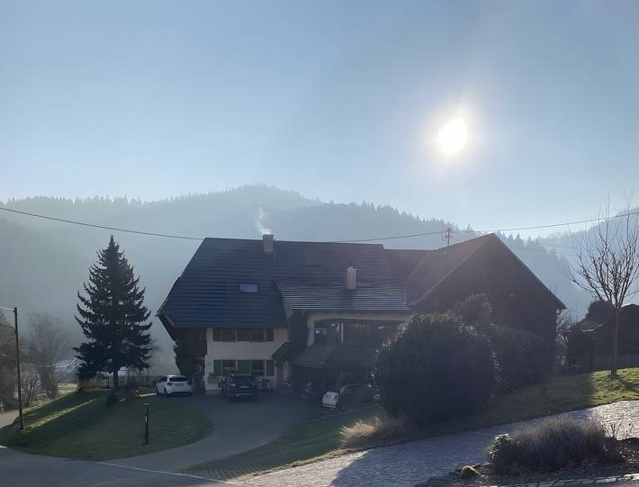 Gîte pour 4 personnes, avec jardin à Münstertal - 3