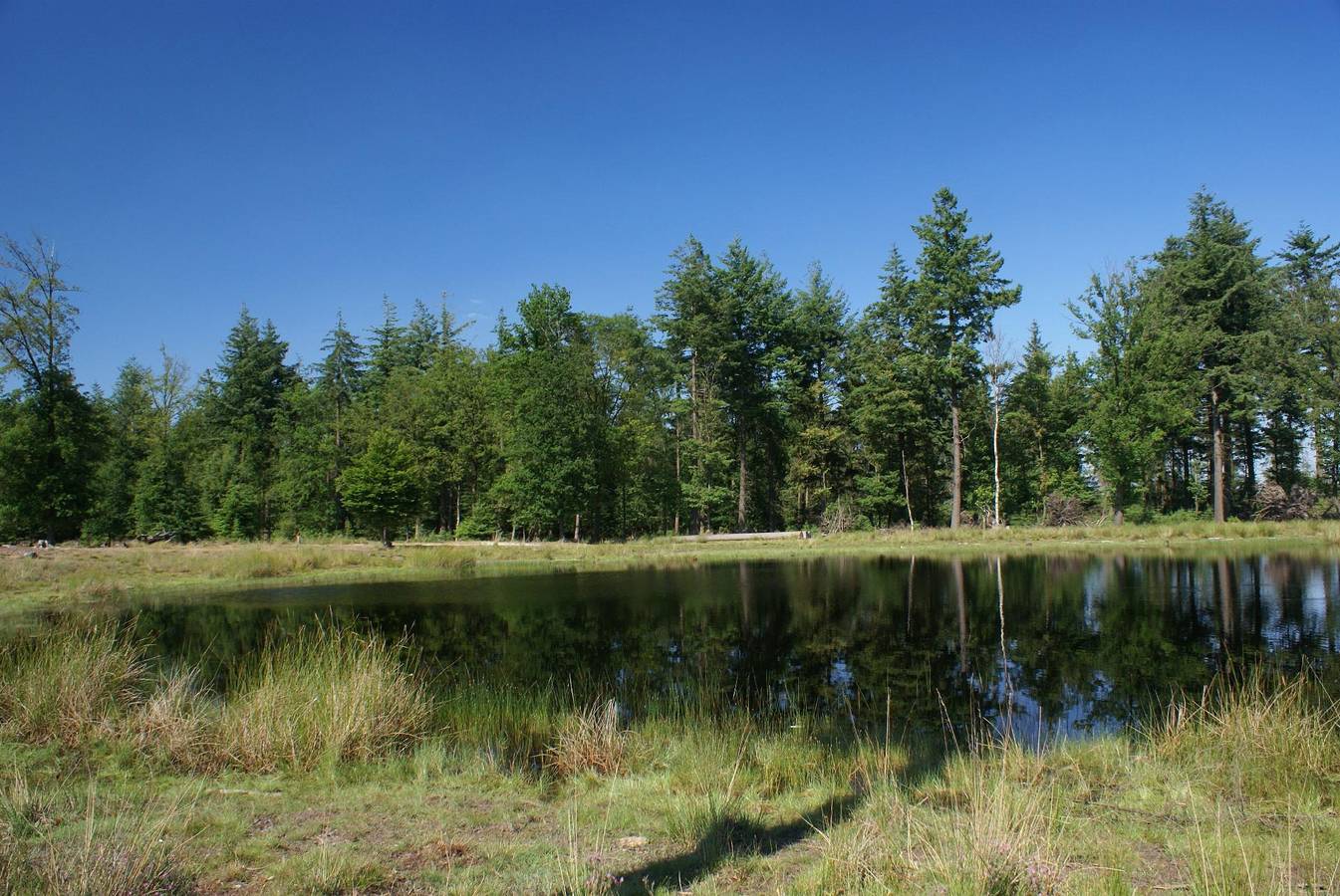 Smaakvol ingericht woonboerderij uit de 18e eeuw in Nationaal Park Dwingelderveld