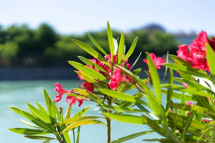 Chambre d’hôte pour 2 personnes à Lyon - 4