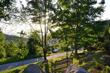 Appartement voor 4 Personen in Sasbachwalden, Central Black Forest, Afbeelding 3